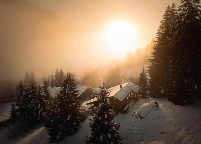 Chalet 1864